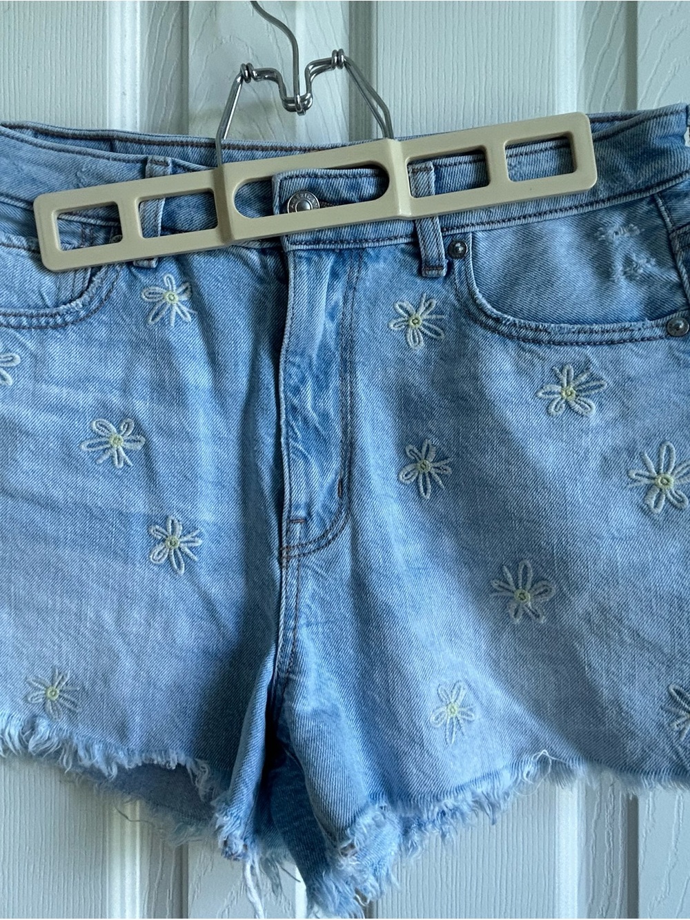 American Eagle Outfitters Light Blue Daisy Embroidered Denim Shorts
